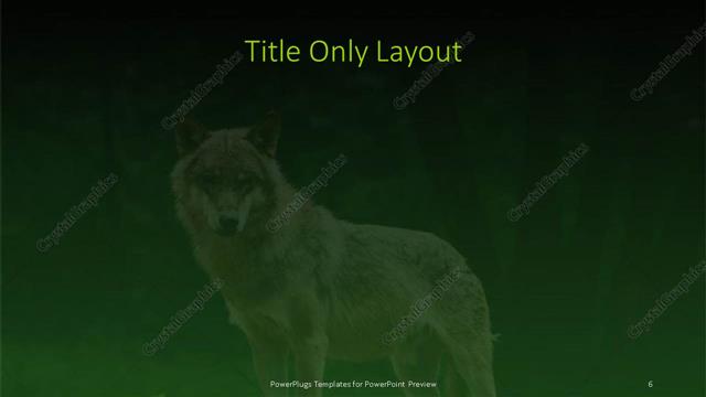 Title Only presentation slide layout