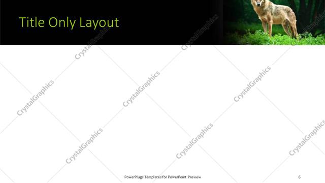 Title Only presentation slide layout