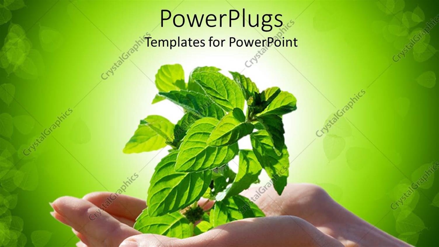 Premium Template for PowerPoint & Google Slides 