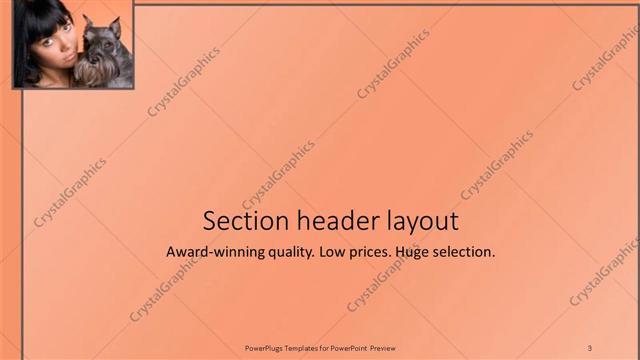 Section Header presentation slide layout