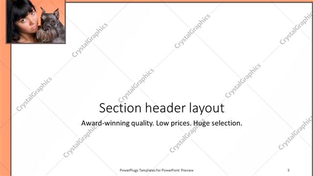 Section Header presentation slide layout