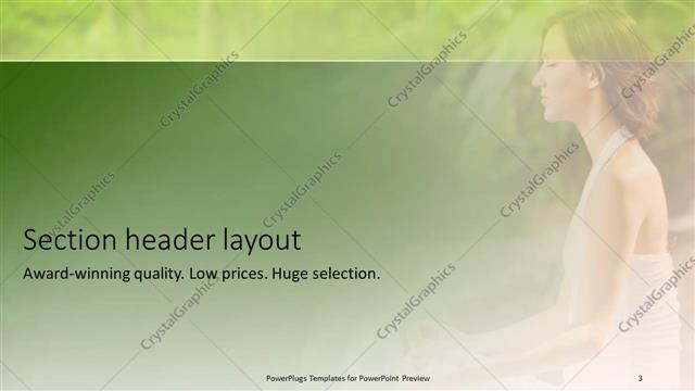 Section Header presentation slide layout