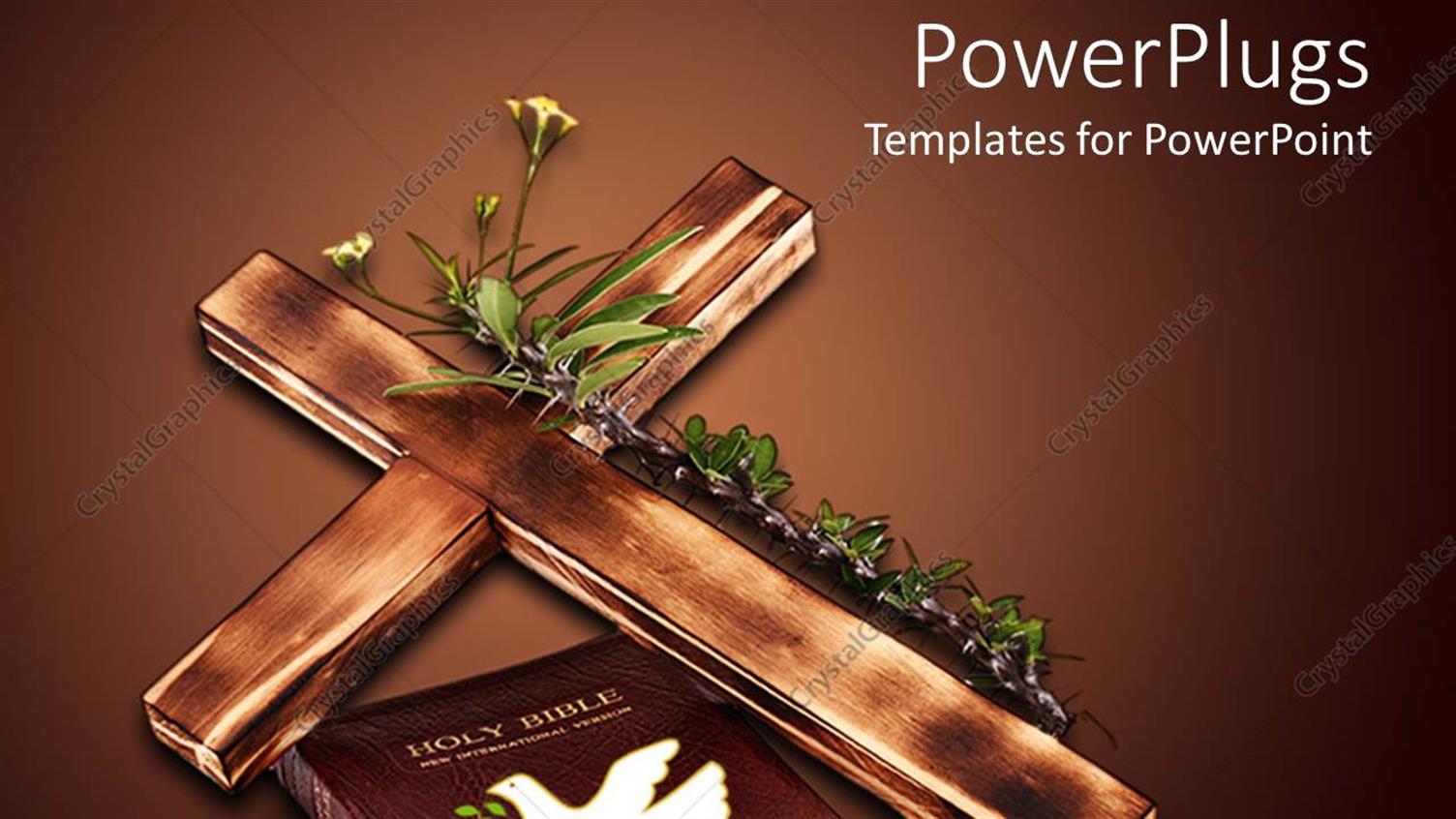 Premium Template for PowerPoint & Google Slides 