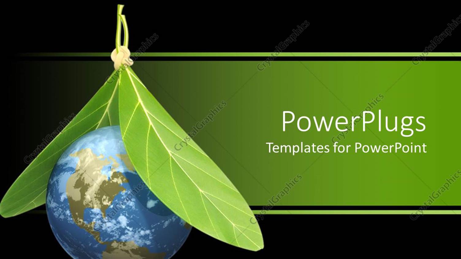 Premium Template for PowerPoint & Google Slides 