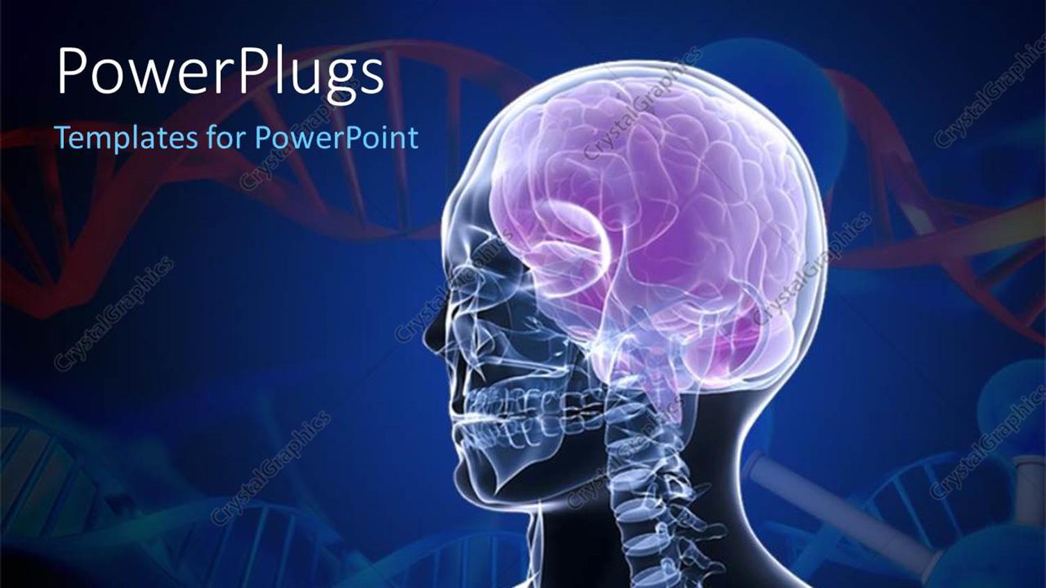 Premium Template for PowerPoint & Google Slides 