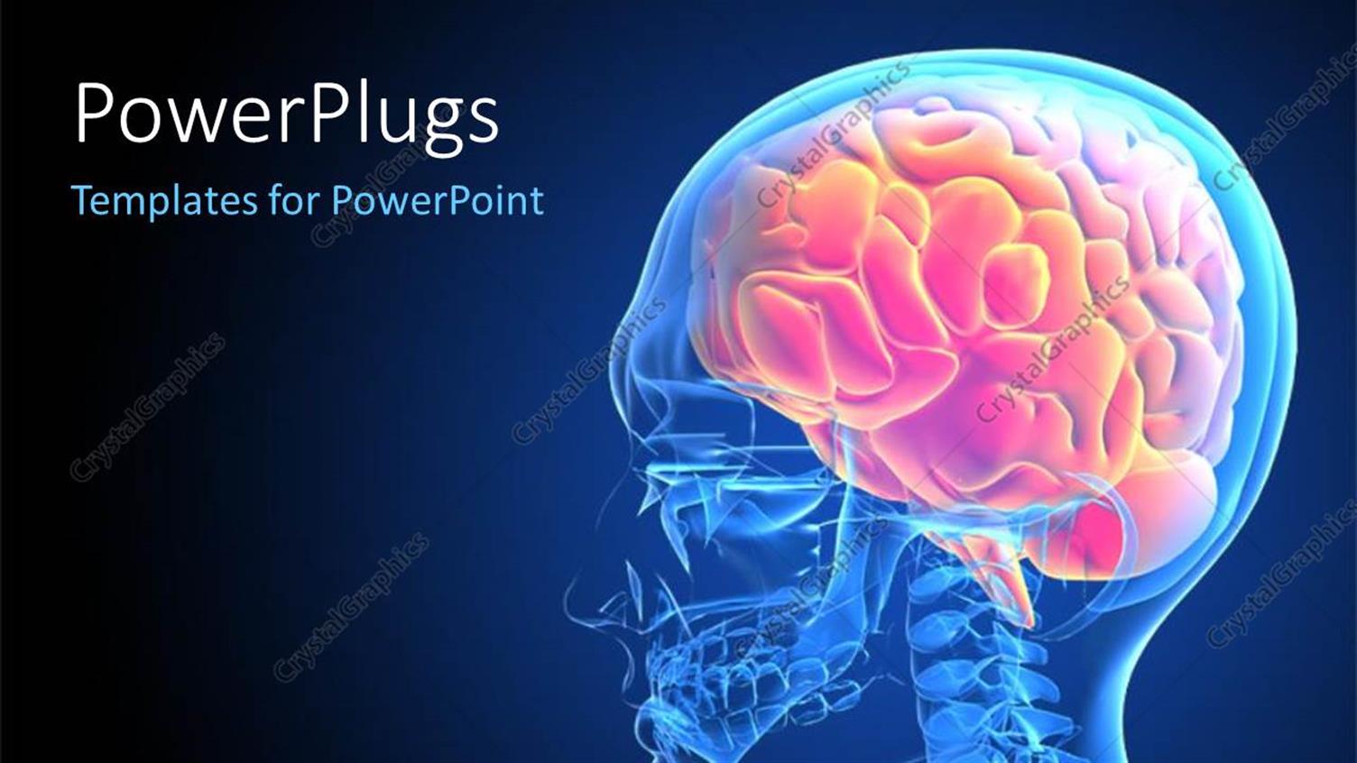 Premium Template for PowerPoint & Google Slides 