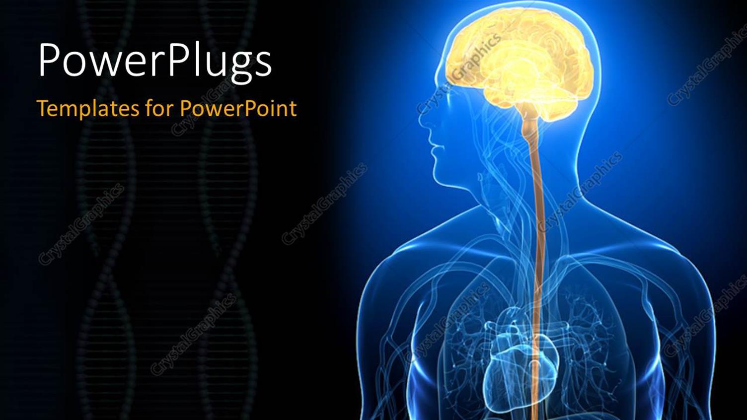 Premium Template for PowerPoint & Google Slides 