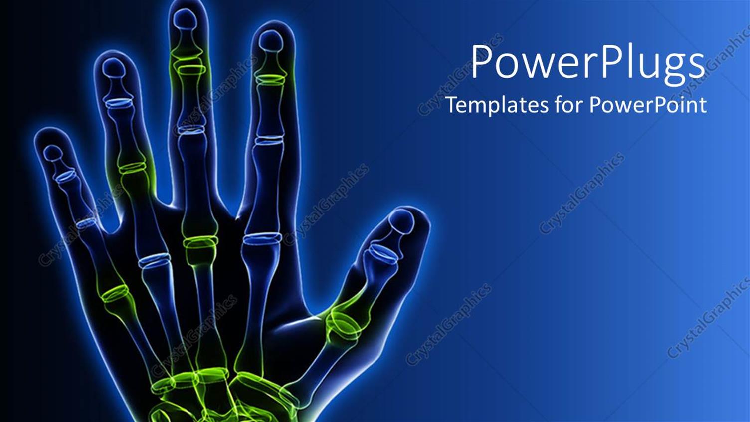 Premium Template for PowerPoint & Google Slides 