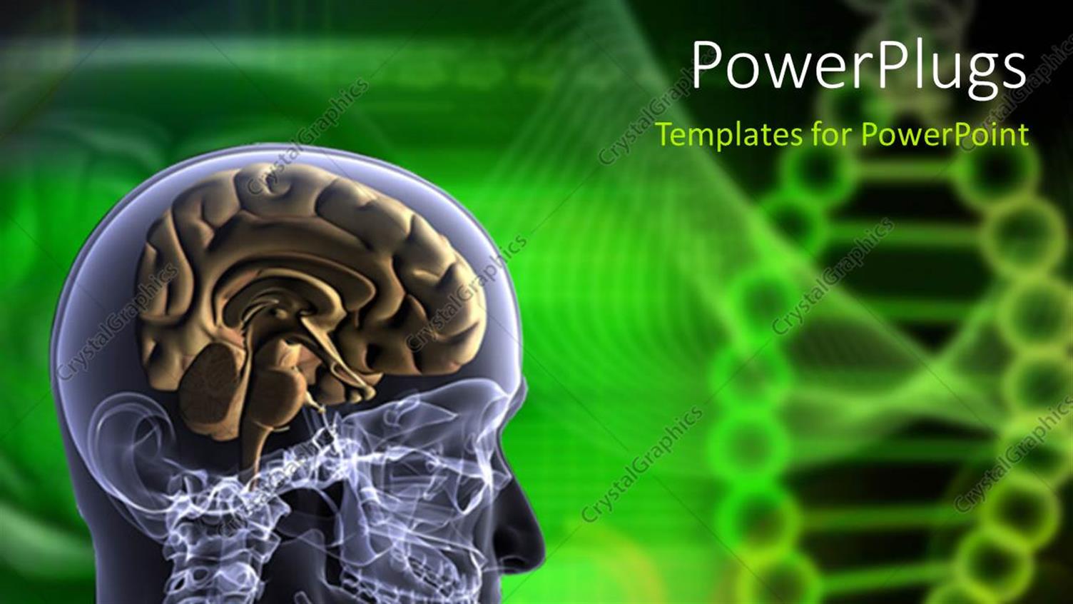 Premium Template for PowerPoint & Google Slides 