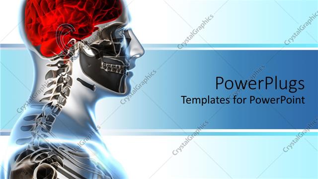  Presentation with brain - X-ray showing human anatomy and red brain on bright background