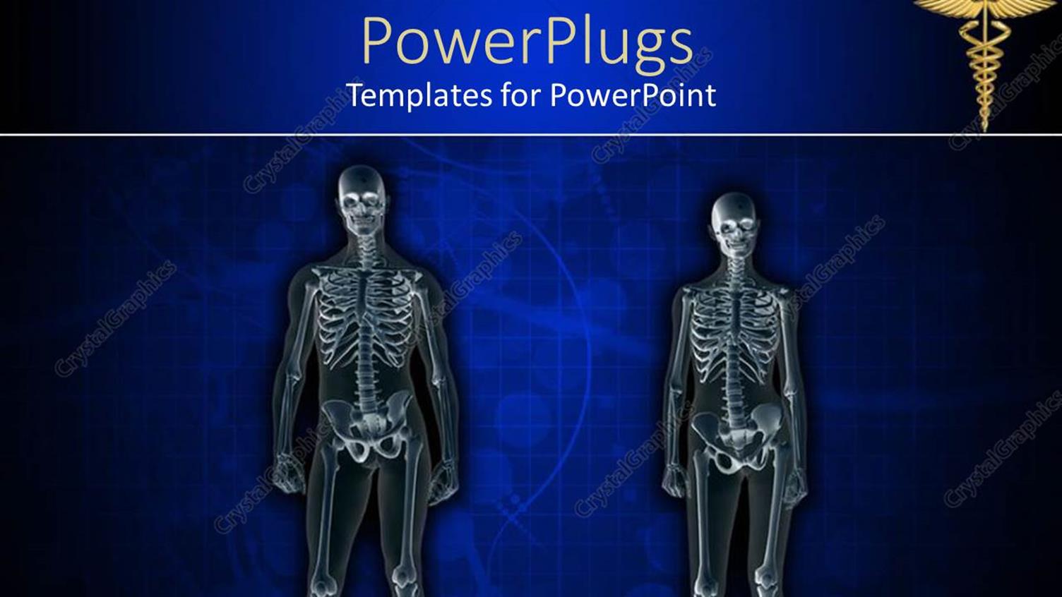 Premium Template for PowerPoint & Google Slides 