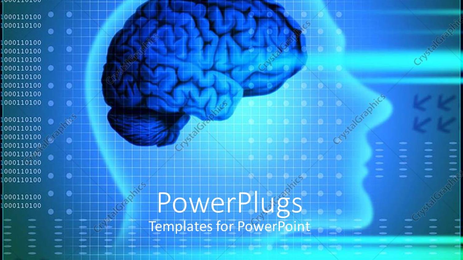 Premium Template for PowerPoint & Google Slides 