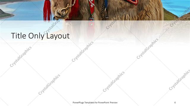 Title Only presentation slide layout