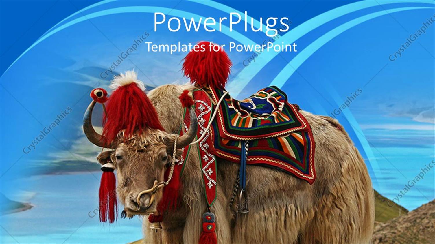 Premium Template for PowerPoint & Google Slides 