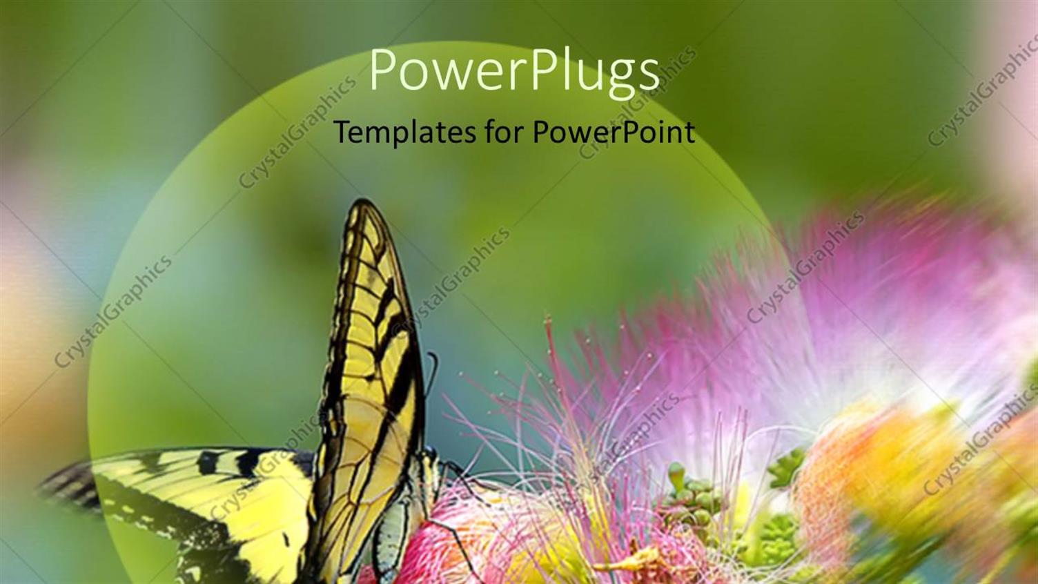 Premium Template for PowerPoint & Google Slides 