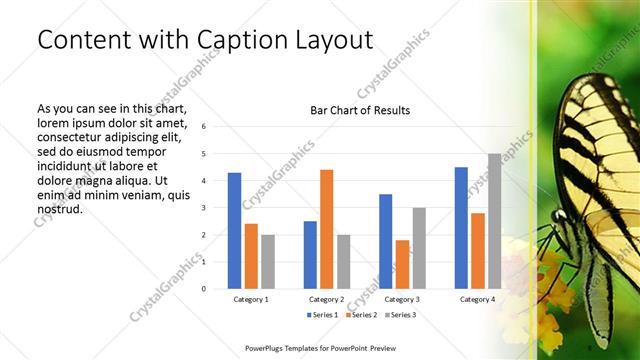 Content with Caption presentation slide layout