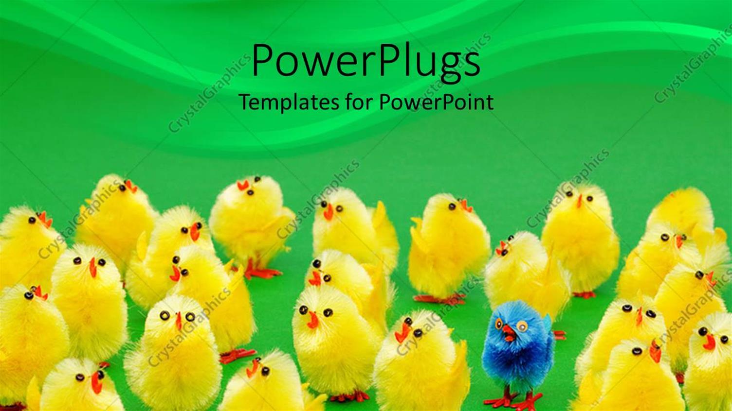 Featuring Yellow Chicks with One Distinct Blue Chick on Green Background