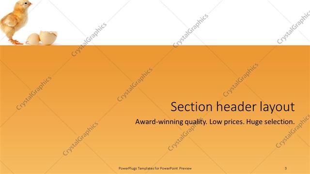Section Header presentation slide layout