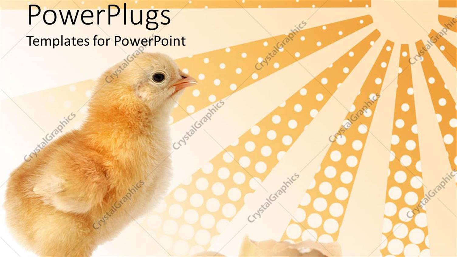 Premium Template for PowerPoint & Google Slides 