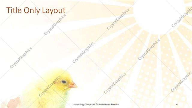 Title Only presentation slide layout