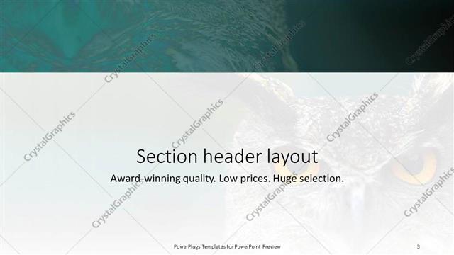 Section Header presentation slide layout