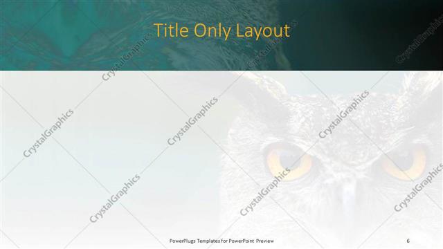 Title Only presentation slide layout