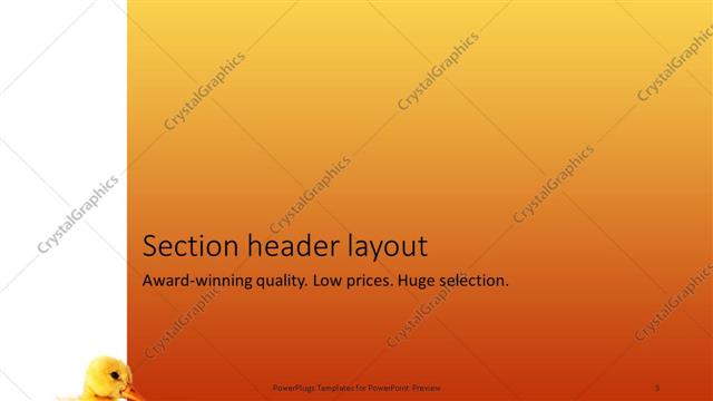 Section Header presentation slide layout