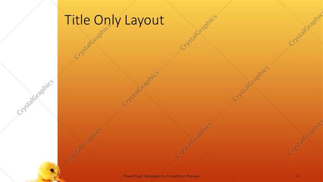 Title Only presentation slide layout