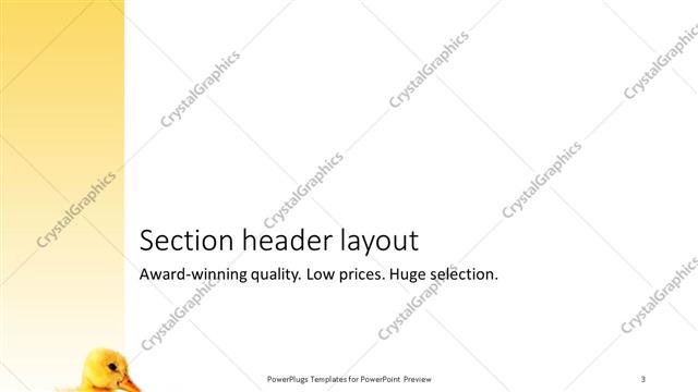 Section Header presentation slide layout
