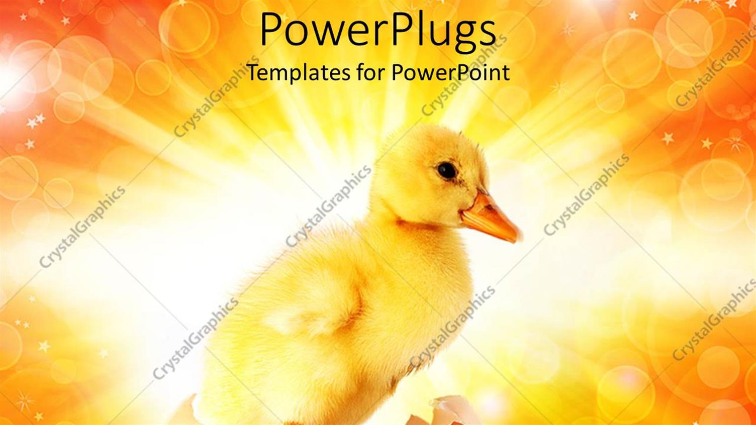 Premium Template for PowerPoint & Google Slides 