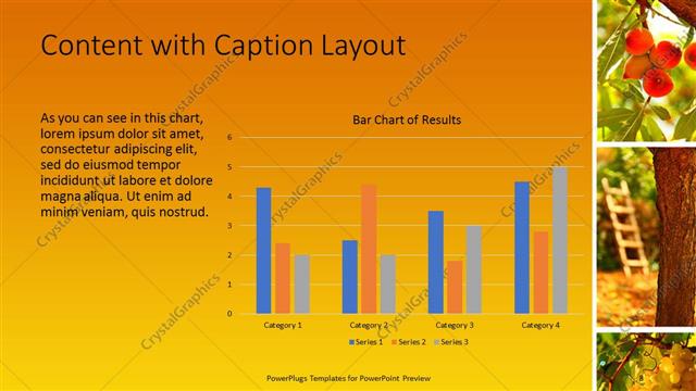 Content with Caption presentation slide layout
