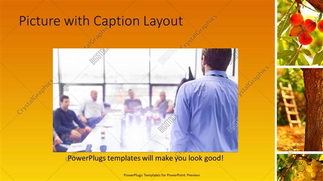 Picture with Caption presentation slide layout