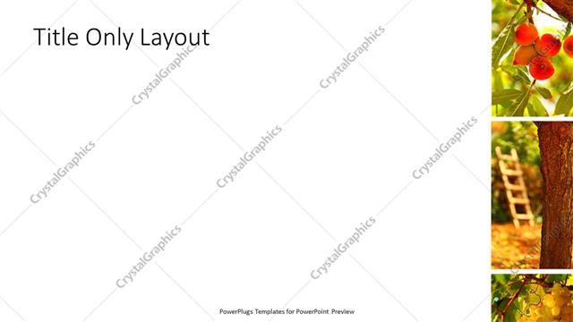 Title Only presentation slide layout