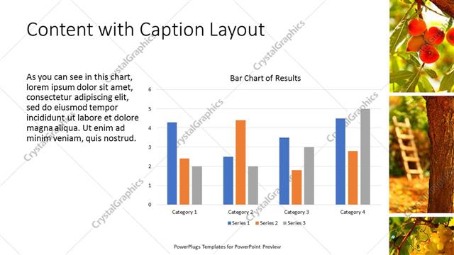 Content with Caption presentation slide layout