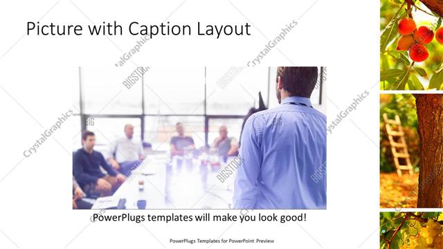 Picture with Caption presentation slide layout
