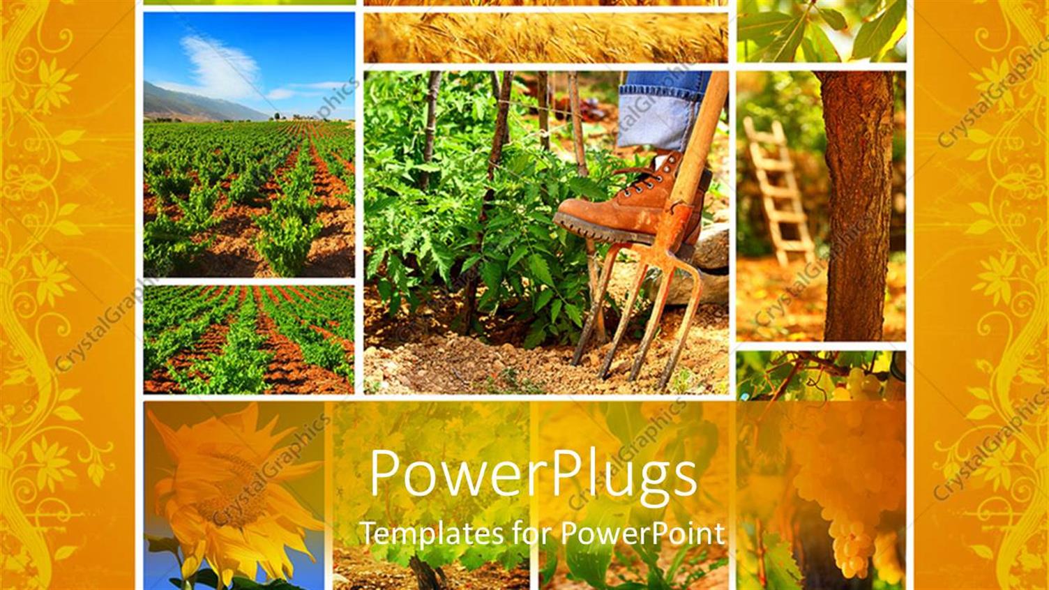 Premium Template for PowerPoint & Google Slides 