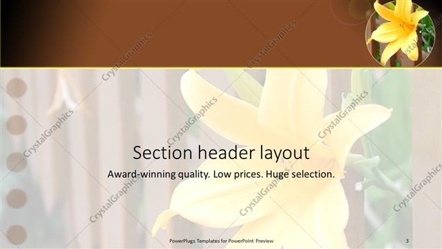 Section Header presentation slide layout