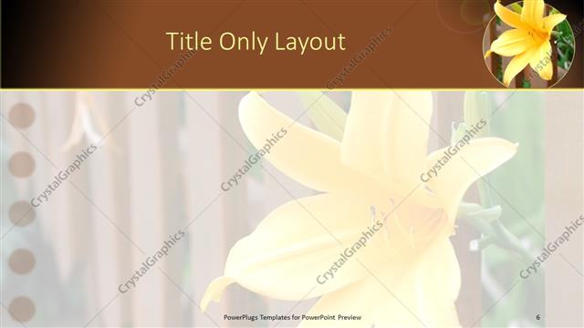 Title Only presentation slide layout