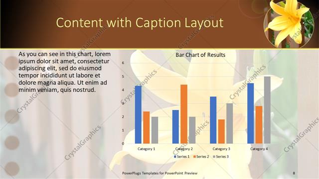 Content with Caption presentation slide layout