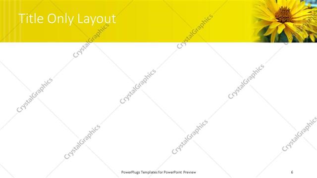 Title Only presentation slide layout