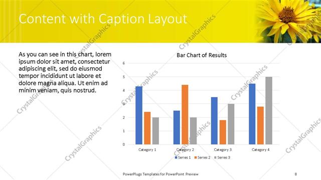 Content with Caption presentation slide layout