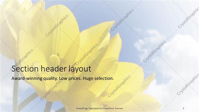 Section Header presentation slide layout
