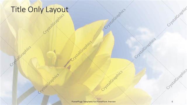 Title Only presentation slide layout