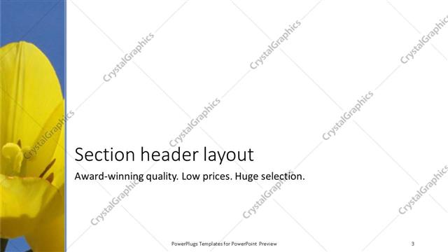 Section Header presentation slide layout