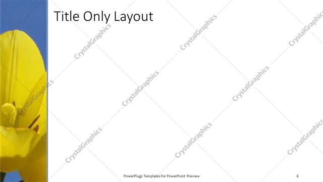 Title Only presentation slide layout