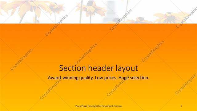 Section Header presentation slide layout