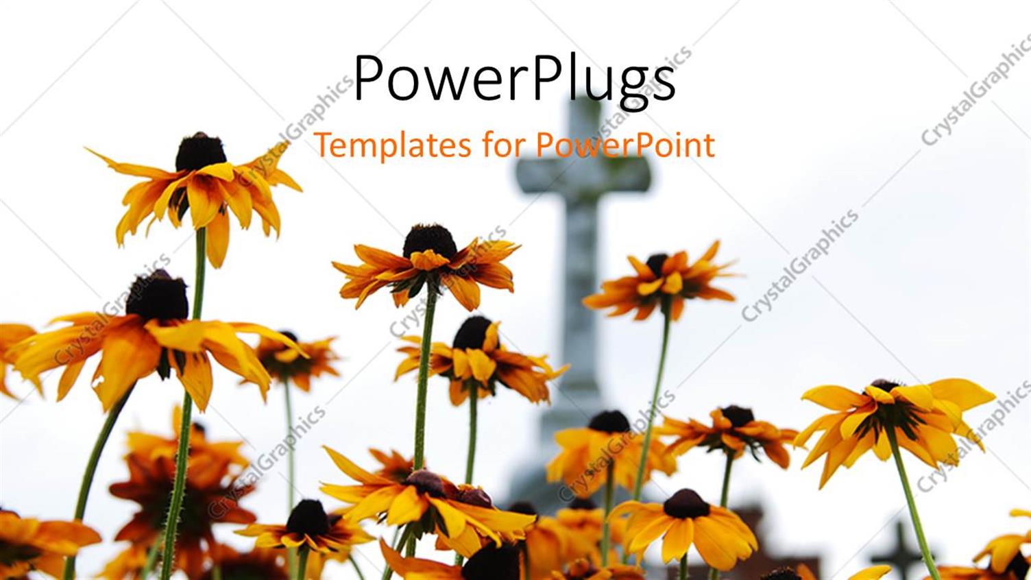 Premium Template for PowerPoint & Google Slides 