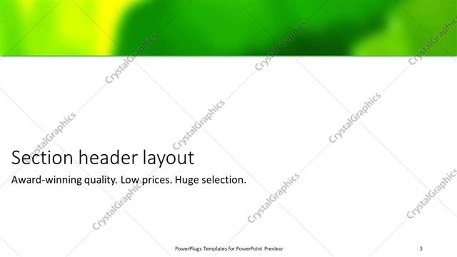 Section Header presentation slide layout