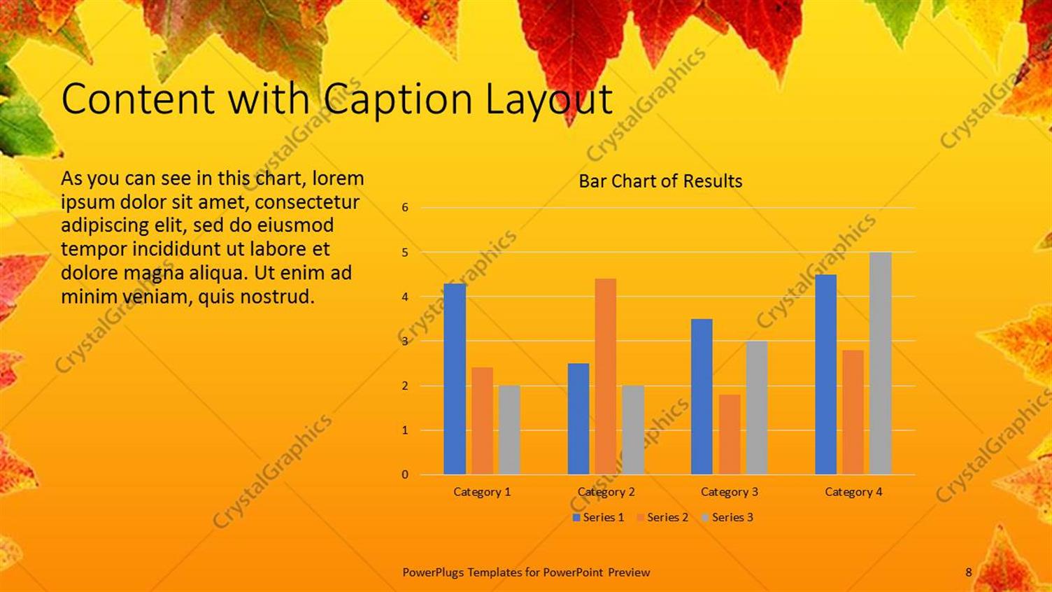 Premium Template for PowerPoint & Google Slides (2411)