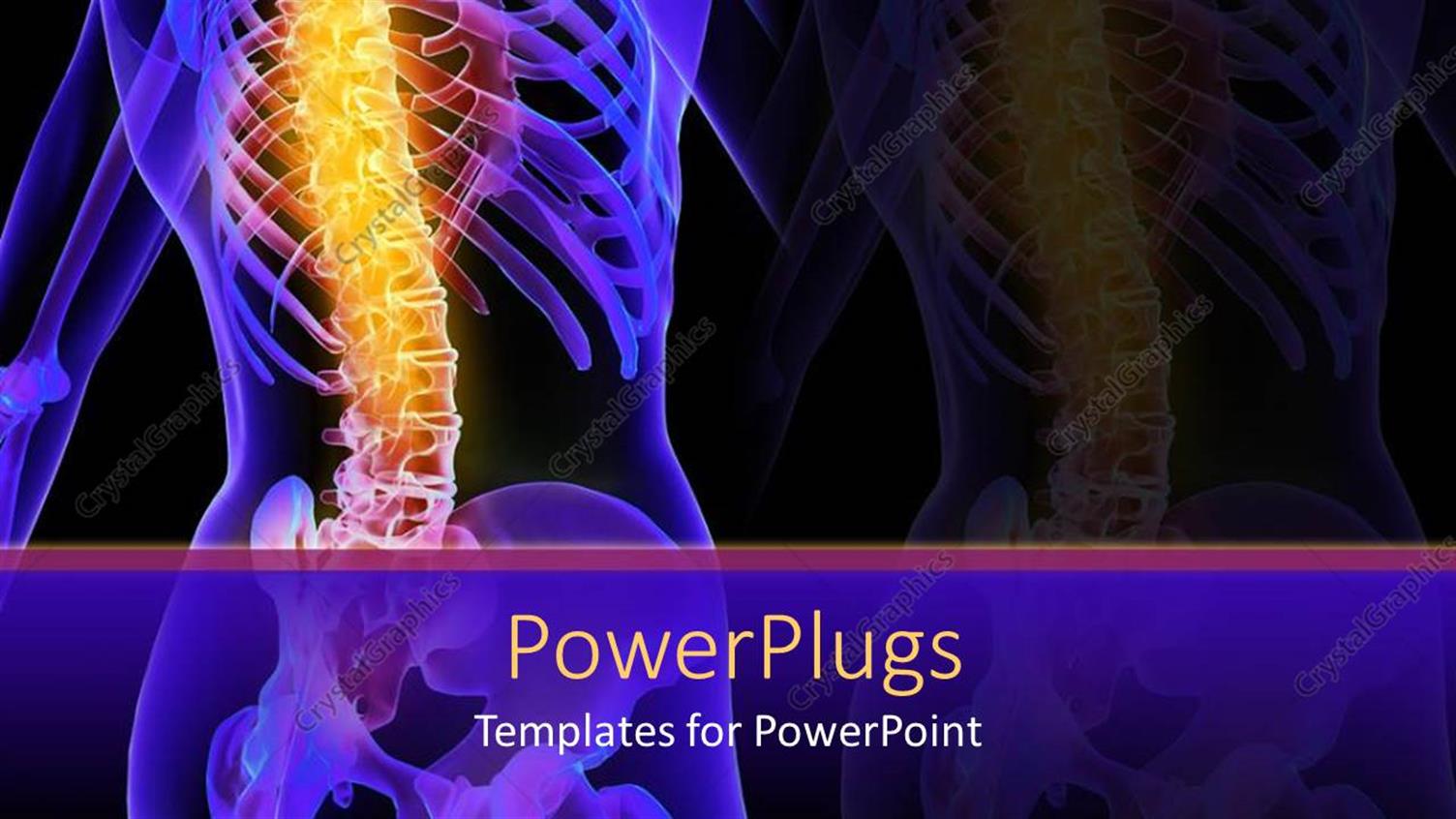 Premium Template for PowerPoint & Google Slides 
